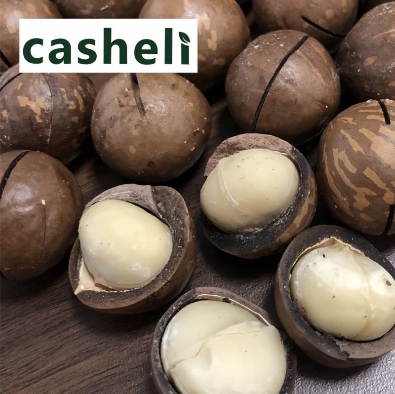 casheli Roasted Macadamia Nuts Kacang Milky Flavor Camilan Rasa Susu - foto 2